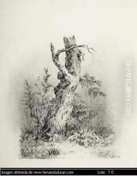 Untitled - view 1