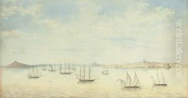 Vue De La Rade Et De La Ville De Montevideo Sur La Rio De Laplata. 1825 A 1828 - view 1