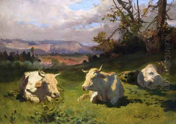 Cows Resting - view 1