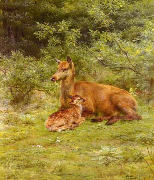 Doe And Fawn In A Thicket - view 1