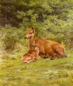 Doe And Fawn In A Thicket