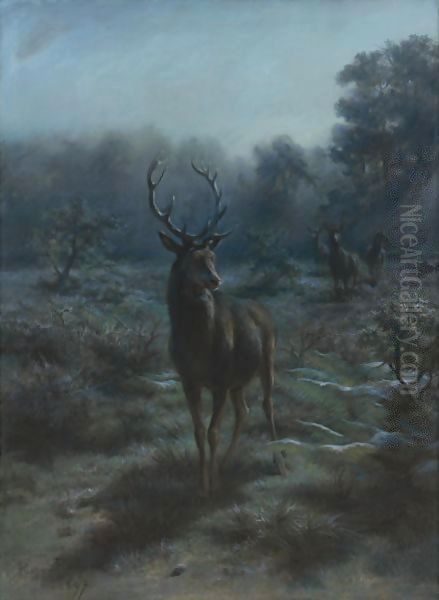 King of the forest 1897 - view 1