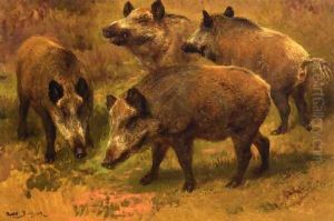 Four Boars in a Landscape