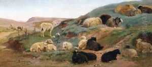 Sheep in a Mountainous Landscape