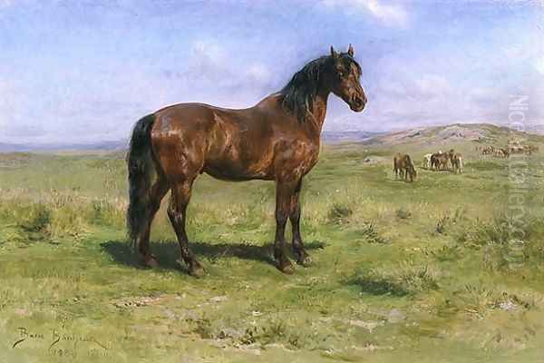 Wild Horses 1889 - view 1