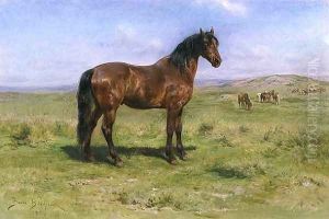 Wild Horses 1889