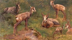 Goats