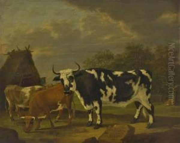 Ostfriesische Rinder - view 1