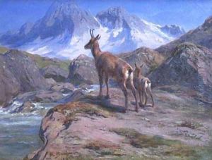 Chamois Mother and Baby