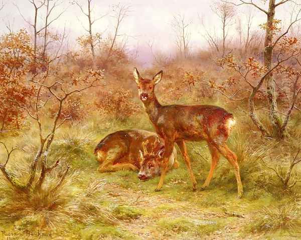 Un Couple De Chevreuils Dans Le Foret De Fontainebleau (A Couple of Roe-deers in the Forest of Fontainebleau) - view 1