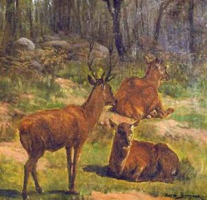 Deer at Fountainebleau