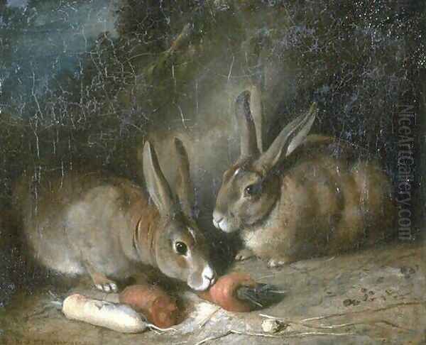 Rabbits - view 1