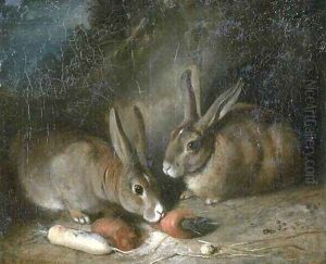 Rabbits