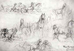 Study of Horses
