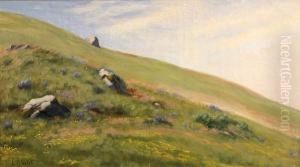 Wildflowers On A Hillside by Ludmilla P. Welch