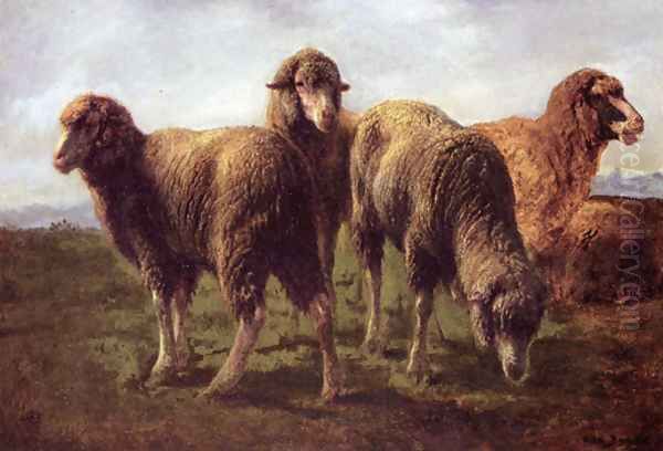Sheep Grazing in a Meadow - view 1