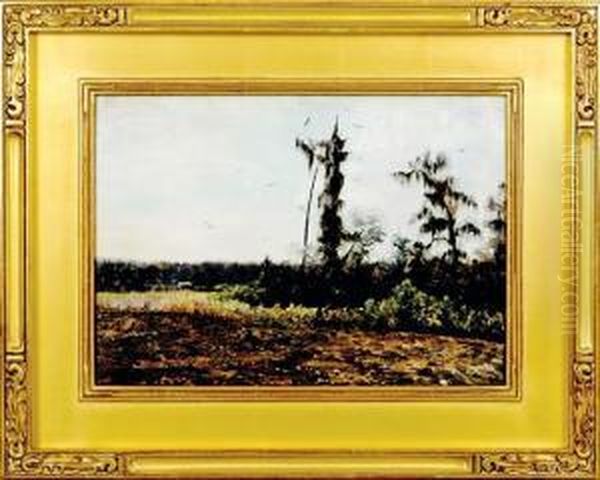 Lone Cabin In The Fields - view 1