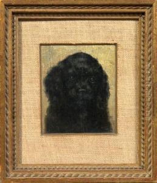 Charming Portrait Of A Black-haired Cocker Spaniel Puppy - view 1