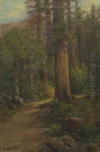 Forest Path by Thaddeus Welch
