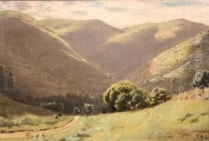 Path Through Rolling Hills
