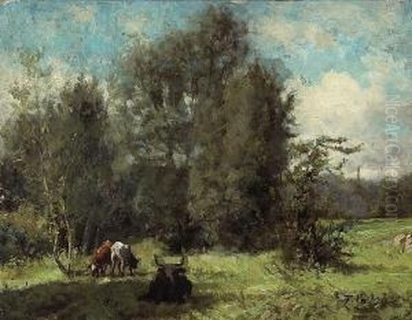 Cows Grazing In A Forest Clearing - view 1