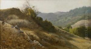 Marin Hillside by Thaddeus Welch