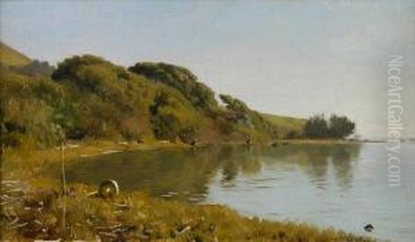 Edge Of The Bay, Believed To Be Bolinas,california - view 1