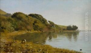 Edge Of The Bay, Believed To Be Bolinas,california