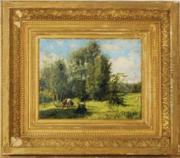 Cows Grazing In A Forest Clearing - view 1
