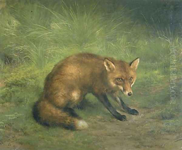Study of a Fox - view 1