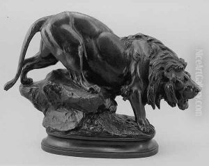 Lion 2
