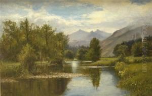 Bewaldeter Flusslauf Mit Nebelverhangenem Felsmassiv