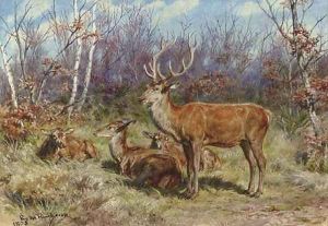 A Buck and Doe in the Forest