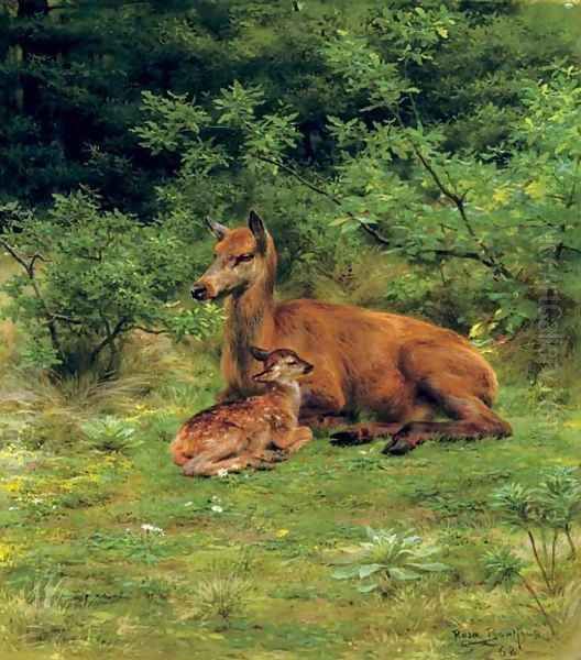 Biche et faon dans un sous-bois (A doe and her fawn in a thicket) - view 1