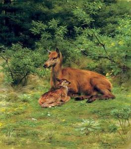 Biche et faon dans un sous-bois (A doe and her fawn in a thicket)