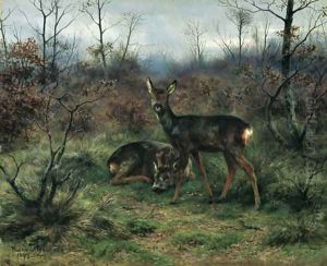 Young deer in a forest clearing