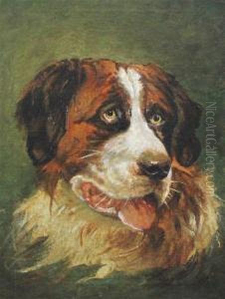 Head Of A St Bernard - view 1