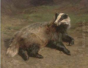 A resting badger
