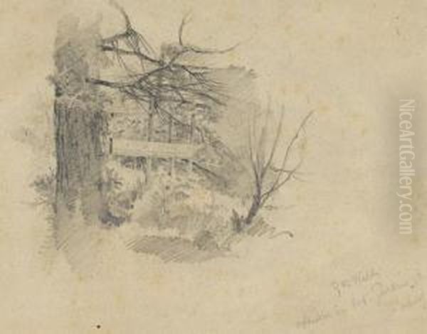 "studie Im Bot. Garten In Zurich" - view 1