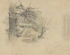 "studie Im Bot. Garten In Zurich" by Albert Welti