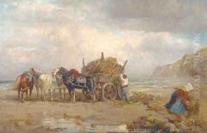 Loading seaweed on the beach
