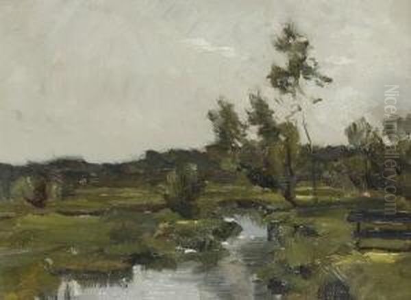 Sommerlandschaft - view 1