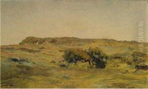 A Dune Landscape