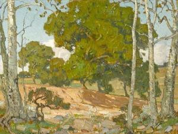 Oaks And Sycamores - view 1