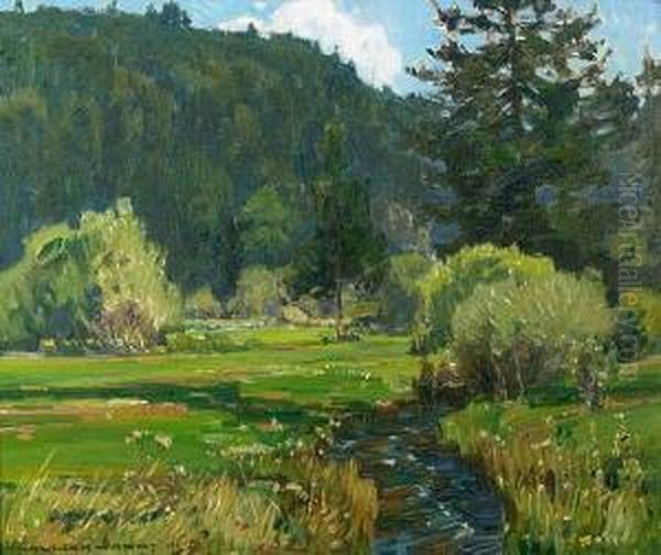 Meandering Stream - view 1