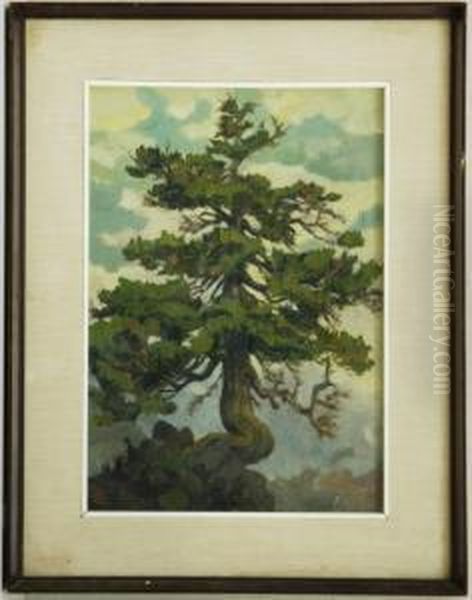 Albero - view 1