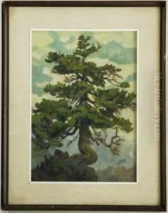Albero Albero