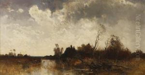 Entenjagd In Herbstlicher Moorlandschaft - view 1