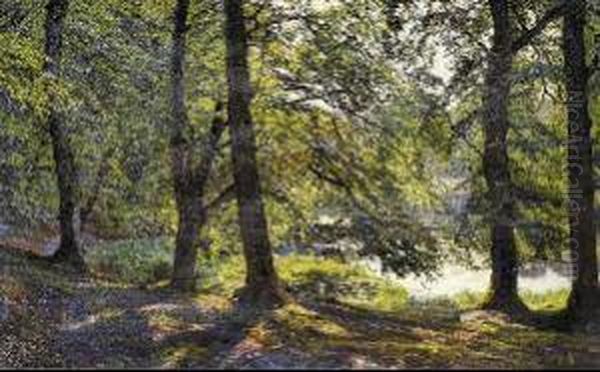 Nel Bosco - view 1