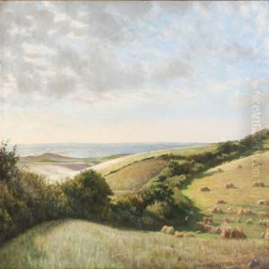 Summer Landscape Near A Coast